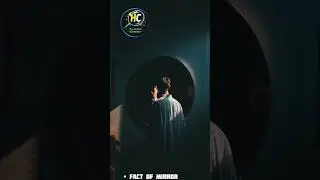 Why Mirrors Can Trick Your Mind? 🤔