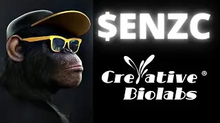 Enzolytics ENZC and Creative Biolabs Partnerships