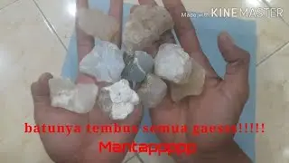 Kiriman bahan batu akik semua tembus cahaya||Batu Calsidone||1000 subcribe