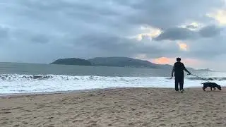 Beach Waves: Morning Ocean Waves ASMR for Insomnia, Anxiety Relief & Study (No Talking)