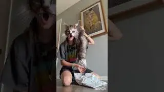 @luna_wildpaws Tail unboxing!! #therian #furry #unboxing #taxidermy #tail