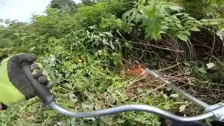 roses are red DOOM!  stihl fs 56 rc brush cutter wacker