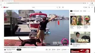 Cara melihat 3D Stereo Video