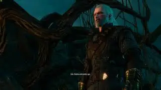 The Witcher 3 - Imlerith Boss Fight  - Level 100/Deathmarch/enemy upscaling