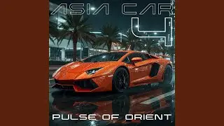 Calm Drive