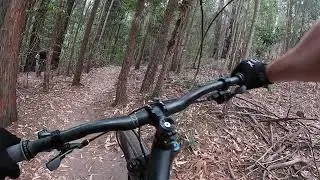 Kincumba Mountain - Missing Link 1