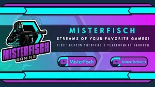What is MisterFischGaming?
