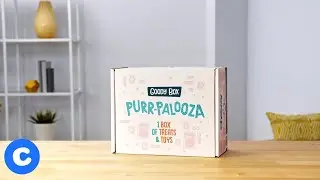 Purr-Palooza Cat Goody Box | Chewy
