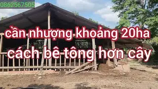 Cần nhượng khoảng 20ha cách bê tông 1,5km tiện đường