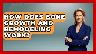 How Does Bone Growth And Remodeling Work? - All About Anatomy Answers