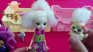 Surprise Toys, What is in the Toy Box:  Princess Dolls, My Little Pony, Lalaloopsy, Enchantimals
