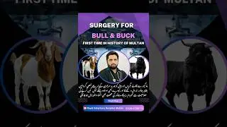 Book now #shorts #surgery #doctor