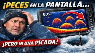 La ecosonda MUESTRA peces, pero NO PICAN. El error que el 99% comete en invierno.