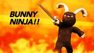 Bunny Ninja!!