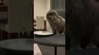 Benjamin Unleashes Ungodly Rage at the Waiter!