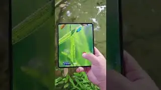 Foldable Smartphone Water Test🔥#shorts