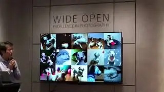 Aibo Housewarming Bash Sony Square NYC