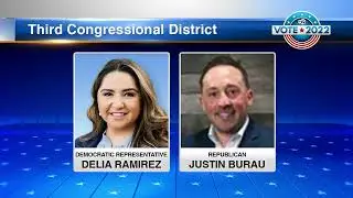 Meet the candidates running for Illinois' newly redrawn 3rd congressional district