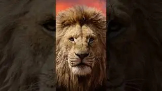 The Lion King&rsquo;s Family Tree Is Weird #shorts #disney