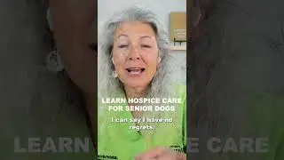 Learn How To Give Hospice Care For Your Senior Dog