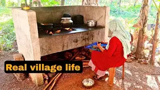 Kerala village life style vlog/Village food/vacation day in my life/haifa kitchen/real village life