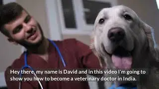 how to become veterinary doctor in india
