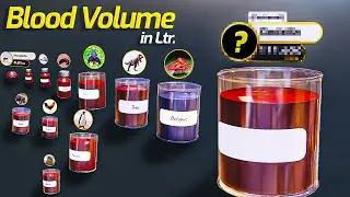 Animals, Dinosaurs And Sea Creatures Blood Volume 3D Size Comparison: Bloop, El Gran Maja, Godzilla