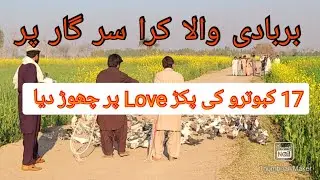 Love Ki Mar Di Sir Gar Pr Aj To Barbadi Wala Muqabla Ban Gaya Atni sari pakar
