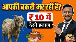 बकरी को ठंड/निमोनिया से बचाने का देसी इलाज | Winter Goat Care Tips (100% Result)