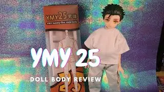 YMY 25cm Doll Body Review