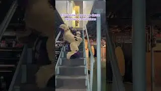 Stair problems #furry #fursuit #cosplay #costume #fursuiters
