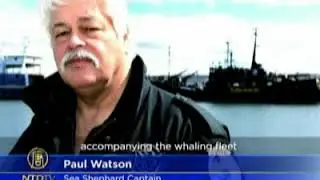 Anti Whaling Vessel in Ship Collision with Japanese Boat  || The Shipping Community