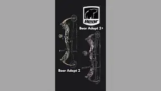 Bear Adapt 2 & Adapt 2 +