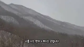 문경 숲에서 겨울나기 2