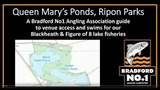 Queen Mary's Ponds Fishing Access Guide