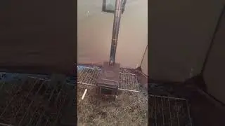 Live highlight