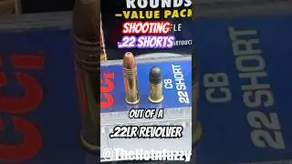 Can You Shoot .22 SHORTS out of a .22LR?