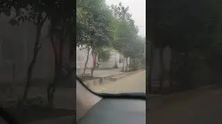 Dwarka Sector 9 Ka Haunted Tree #haunted #hauntedtree #hauntedplace #delhi #viral  #shortsfeed2023