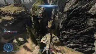 Halo Infinite - Wasp VS Banshee