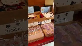 生田神社とファミリアの限定アイテム🧸#shorts