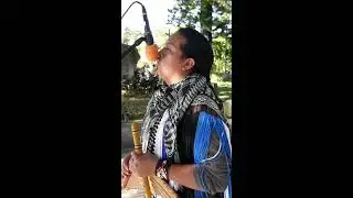 Andean Music | DAVIDMORALES SK - LIVE - STREAM 41