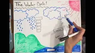 The Water Cycle