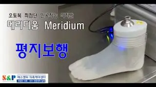 독일 오토복 인공지능의족발 메리디움 meridium.