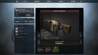 CS:GO Luck is first time on my side!