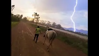 Horses - Rainbows and Thunderstorms