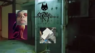 GATO net - Stray #3 (14+)