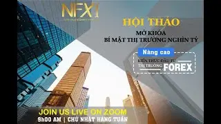 Mở Kh&oacute;a B&iacute; Mật Thị Trường Ngh&igrave;n Tỷ - NFX1 Academy