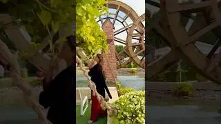 Amazing Dubai Miracle Garden #trending #travel #dubaigarden