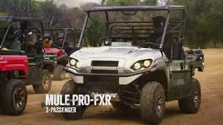 2019 Kawasaki MULE PRO MX The Herd 1