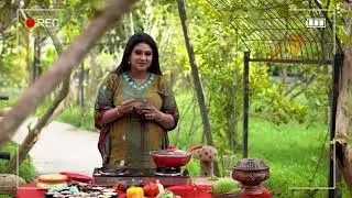 Behind the Scenes of Keyar Diary | Keya Seth&rsquo;s Daily Vlogs & More!